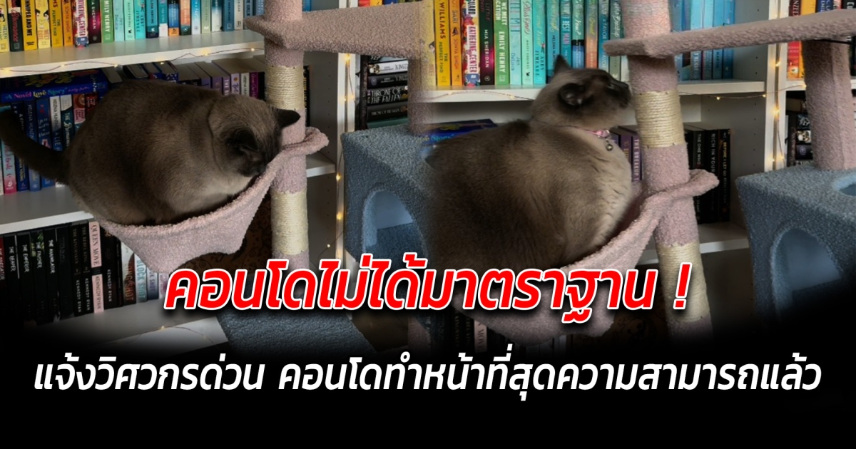 คอนโดไม่ได้มาตราฐาน แจ้งวิศวกรด่วน คอนโดทำหน้าที่สุดความสามารถแล้ว