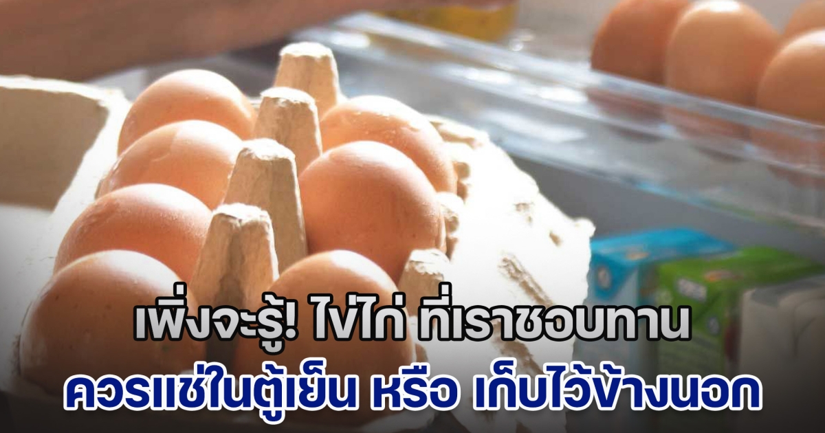 เพิ่งจะรู้! ไข่ไก่ ควรแช่ในตู้เย็น หรือ เก็บไว้ข้างนอก หลายคนเข้าใจผิดมาตลอด