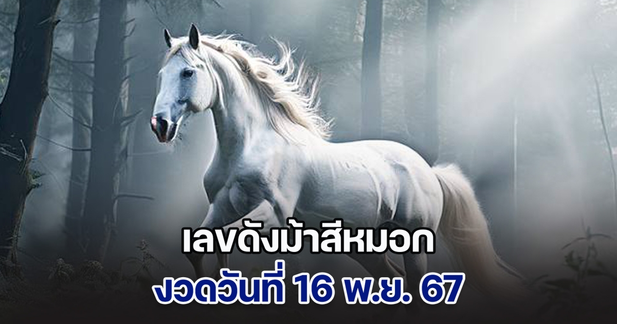 ควบมาไวมาก เลขดังม้าสีหมอก ประจำวันที่ 16 พ.ย. 67