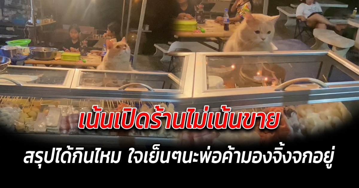 เน้นเปิดร้านไม่เน้นขาย สรุปได้กินไหม ใจเย็นๆนะพ่อค้ามองจิ้งจกอยู่