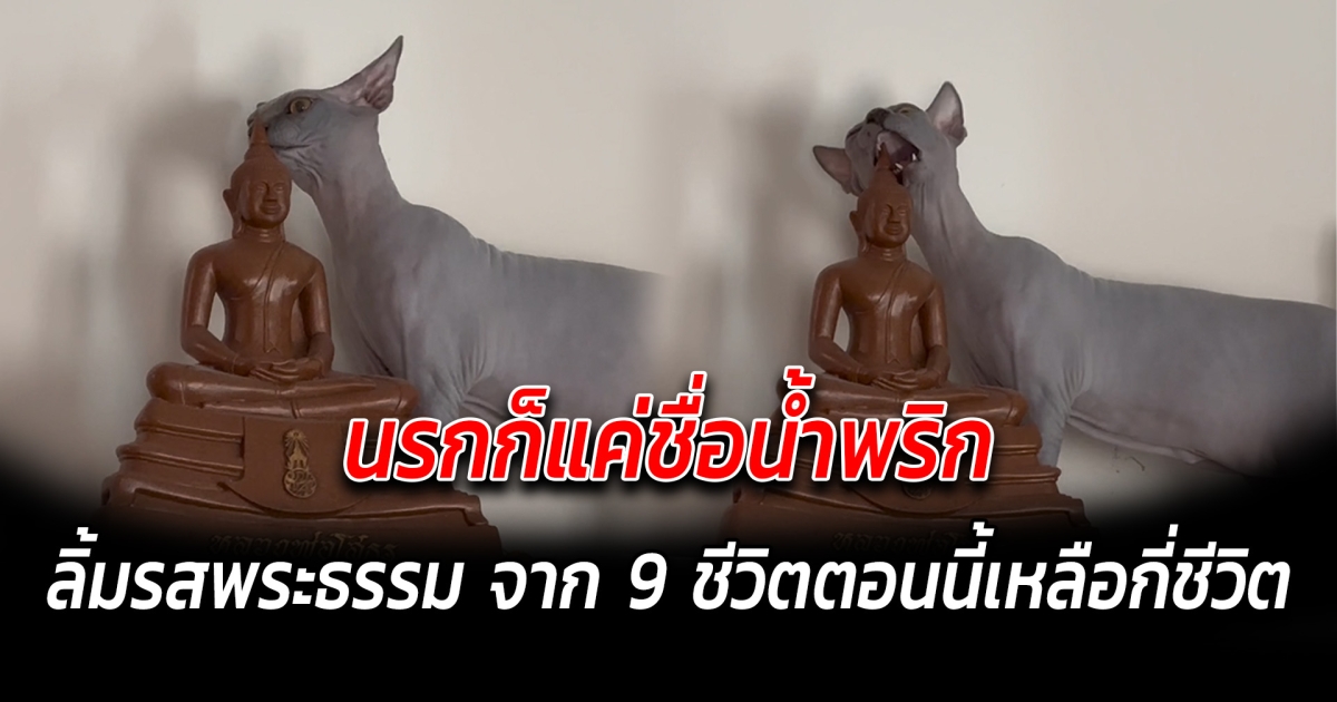 นรกก็แค่ชื่อน้ำพริก ลิ้มรสพระธรรม จาก 9 ชีวิตตอนนี้เหลือกี่ชีวิต