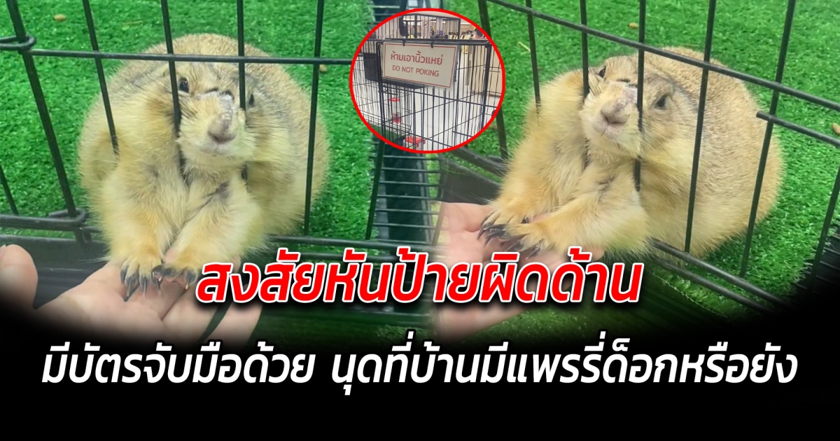 สงสัยหันป้ายผิดด้าน มีบัตรจับมือด้วย นุดที่บ้านมีแพรี่ด็อกหรือยัง