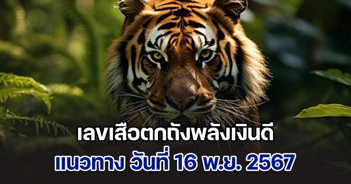 เซฟเก็บไว้เลย แนวทางจาก เสือตกถังพลังเงินดี วันที่ 16 พฤศจิกายน 2567