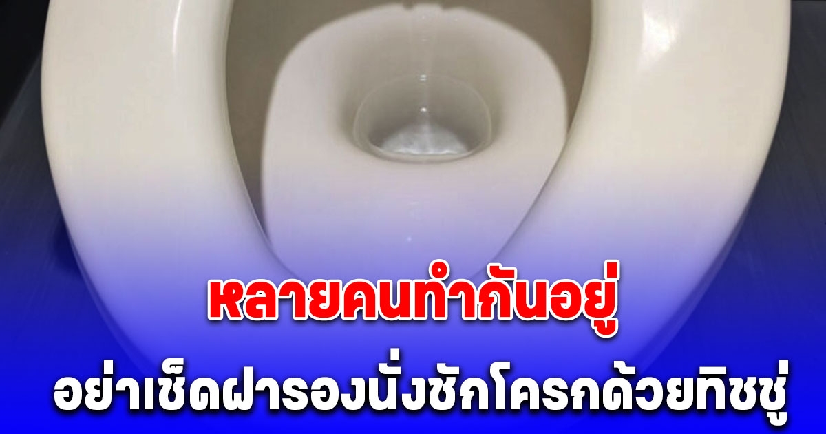 บริษัทดังพูดเอง อย่าเช็ดฝารองนั่งชักโครกด้วยทิชชู่ แนะวิธีทำความสะอาดที่ถูกต้อง