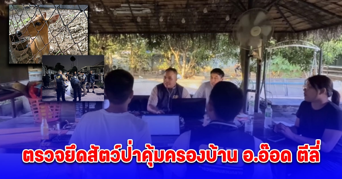 ตำรวจสอบสวนกลาง (CIB) ตรวจยึดสัตว์ป่าคุ้มครองบ้าน อ.อ๊อด ตีลี่