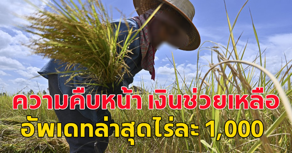 ความคืบหน้า เงินช่วยเหลือเกษตรกร 67 68 ล่าสุด