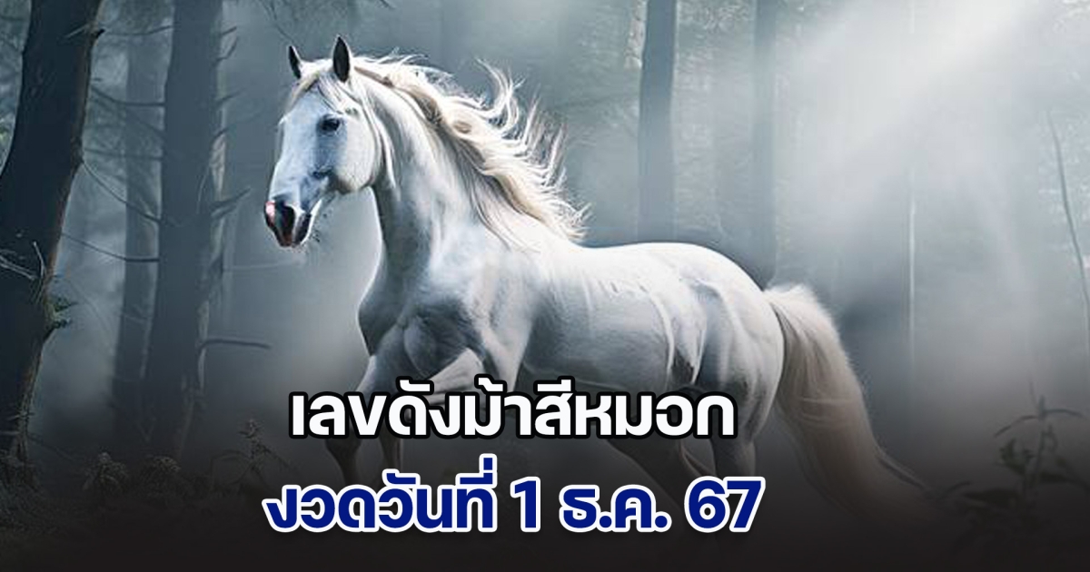 ควบมาไวมาก เลขดังม้าสีหมอก ประจำวันที่ 1 ธ.ค. 67