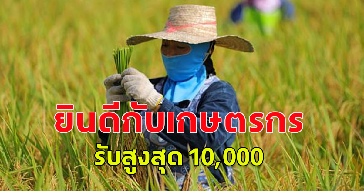 ชาวนา เตรียมรับสูงสูด 10,000