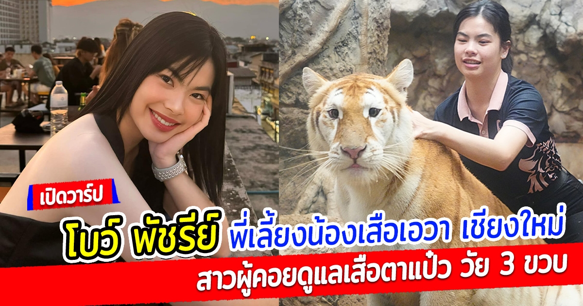 เปิดวาร์ป โบว์ พัชรีย์ พี่เลี้ยงน้องเอวา สาวผู้คอยดูแลเสือตาแป๋ว วัย 3 ขวบ