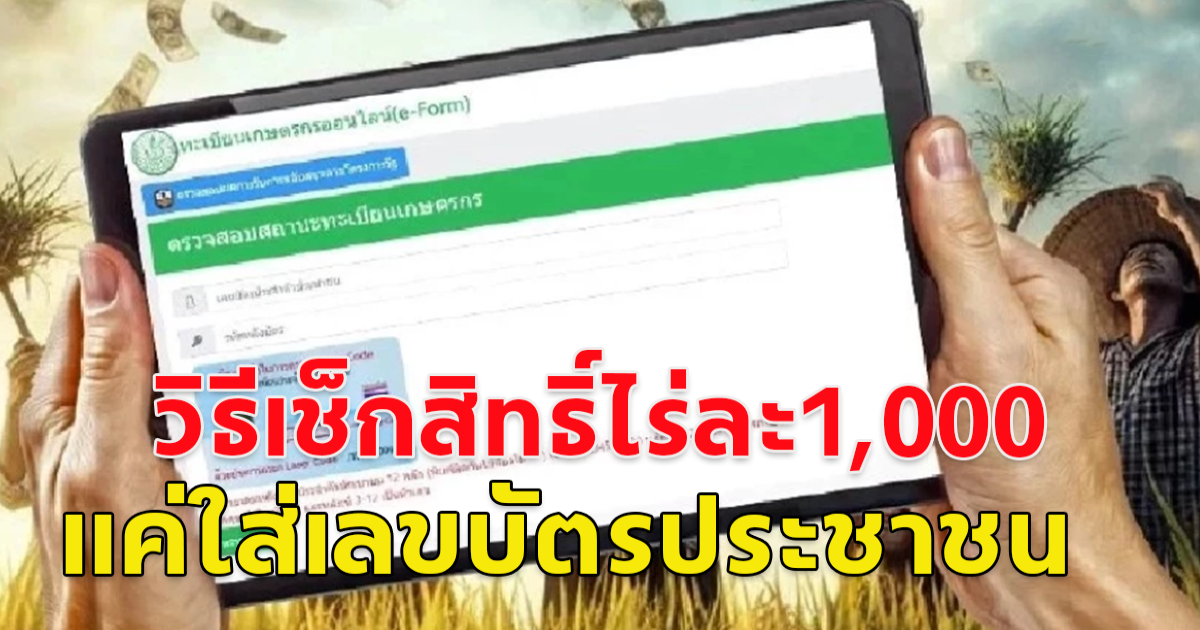 วิธีเช็กสิทธิเงินไร่ละ 1,000  ผ่านเว็บไซต์ chongkho.inbaac.com