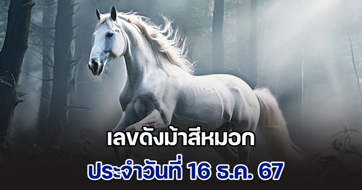 ควบมาไวมาก เลขดังม้าสีหมอก ประจำวันที่ 16 ธ.ค. 67