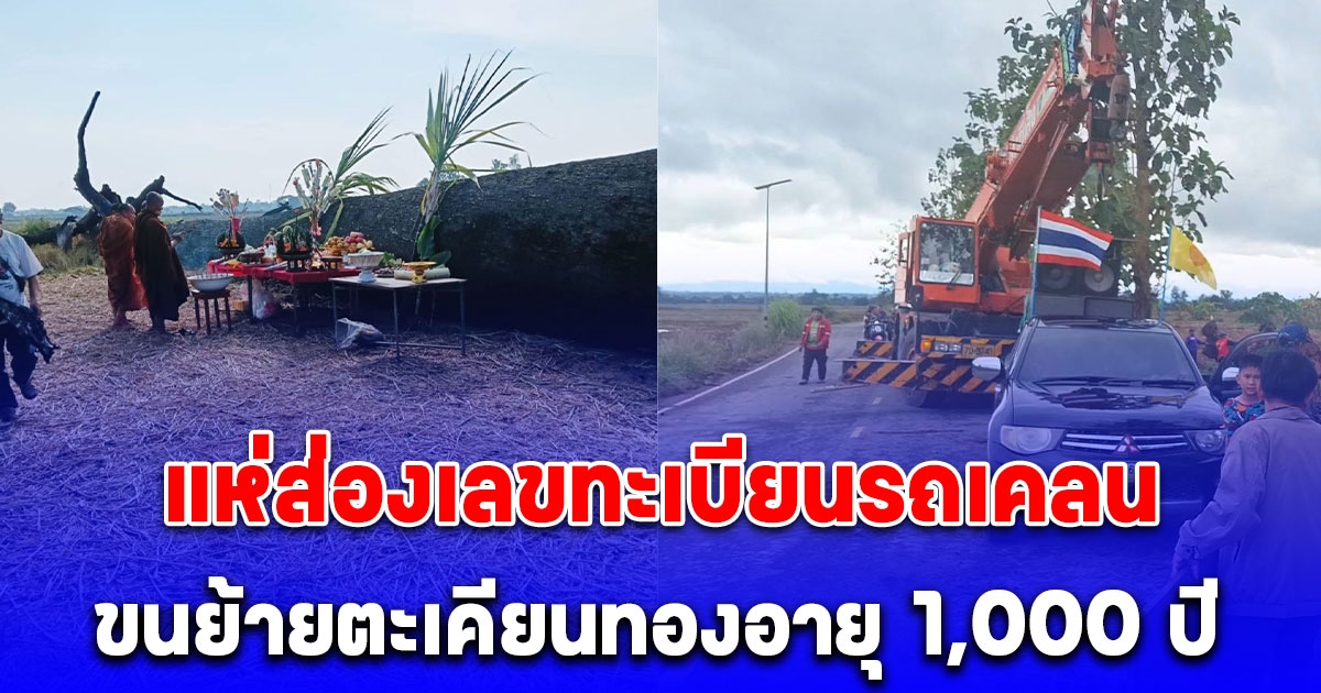 ชาวบ้านแห่ส่องเลขทะเบียนรถเคลนพิธีบวงสวงขนย้ายตะเคียนทองอายุ 1,000 ปี ไว้วัด