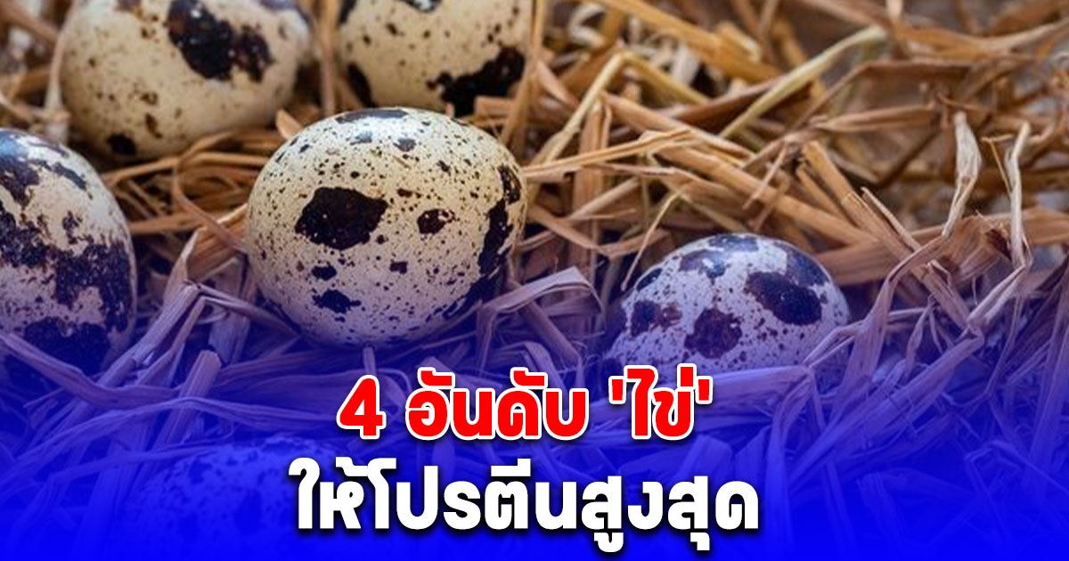 4 อันดับ ไข่ ให้โปรตีนสูงสุด