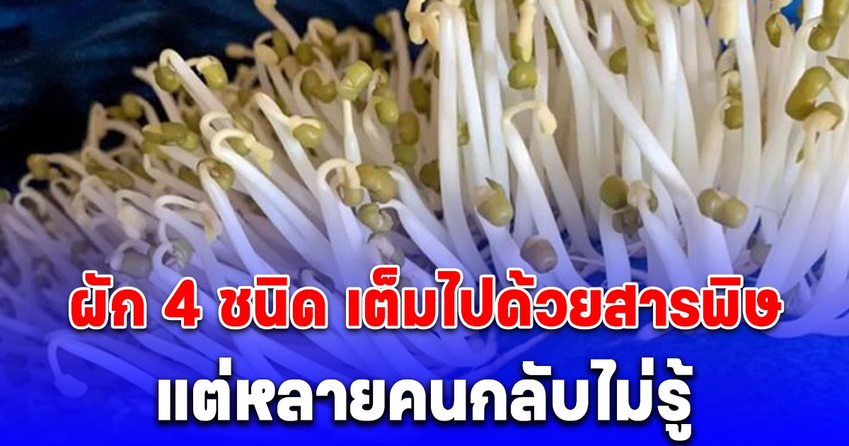 ผัก 4 ชนิด เต็มไปด้วยสารพิษ ไม่ช่วยบำรุงร่างกาย แถมดึงโรคเข้าตัว แต่หลายคนกลับไม่รู้