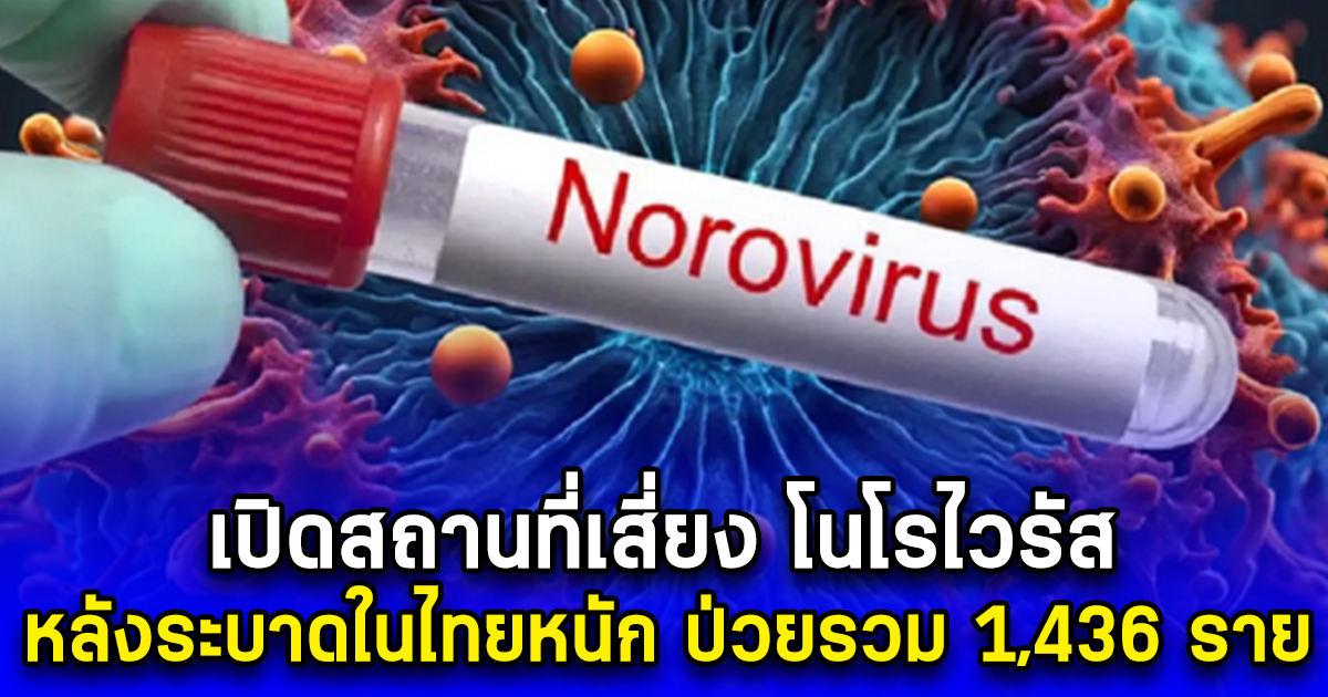 เปิดสถานที่เสี่ยง โนโรไวรัส หลังระบาดในไทยหนัก ป่วยรวม 1,436 ราย