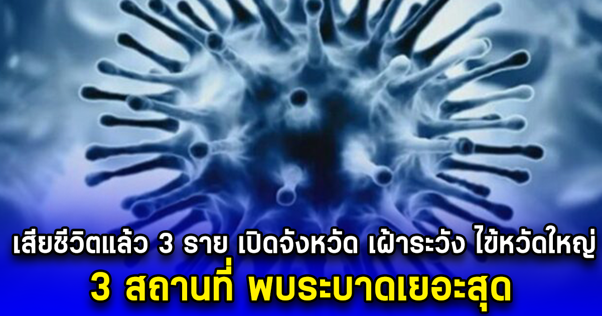 เสียชีวิตแล้ว 3 ราย เปิดจังหวัด เฝ้าระวัง ไข้หวัดใหญ่ 3 สถานที่ พบระบาดเยอะสุด