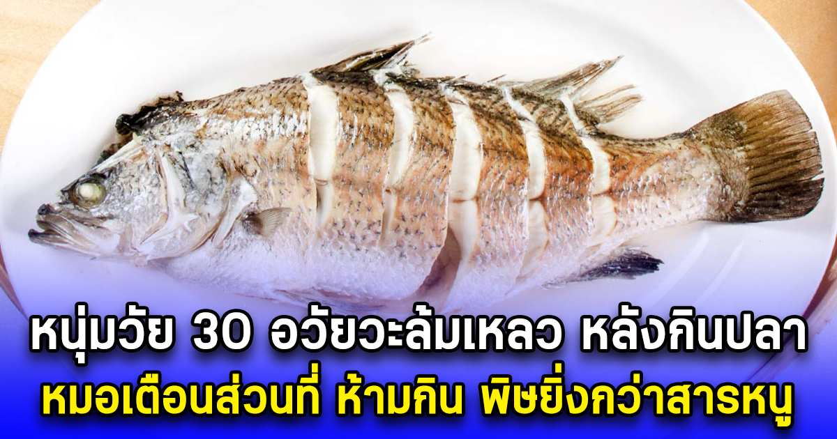 หนุ่มวัย 30 อวัยวะล้มเหลวหลายส่วน หลังกินปลา หมอเตือนส่วนที่ ห้ามกิน พิษยิ่งกว่าสารหนู หลายคนคิดว่าของดี