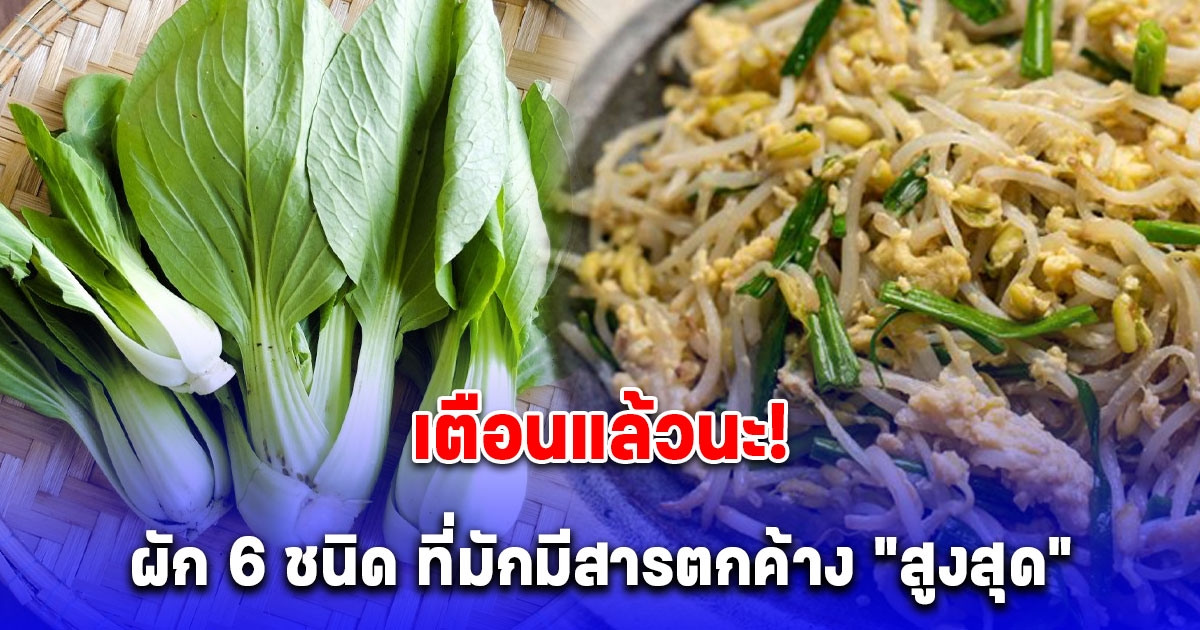 ควรระวังก่อนซื้อกิน ผัก 6 ชนิด ที่มักมีสารตกค้าง สูงสุด ขายเกลื่อนตลาด