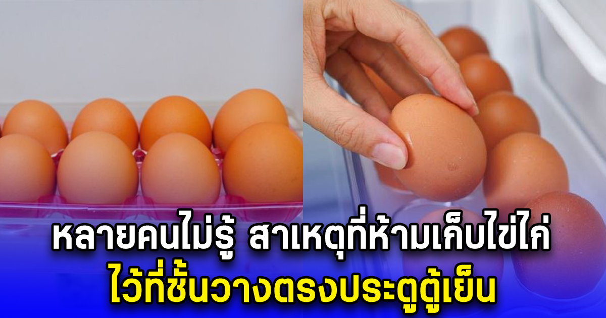 หลายคนไม่รู้ สาเหตุที่ห้ามเก็บไข่ไก่ ไว้ที่ชั้นวางตรงประตูตู้เย็น