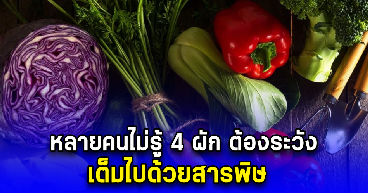 หลายคนไม่รู้ 4 ผัก ต้องระวัง เต็มไปด้วยสารพิษ