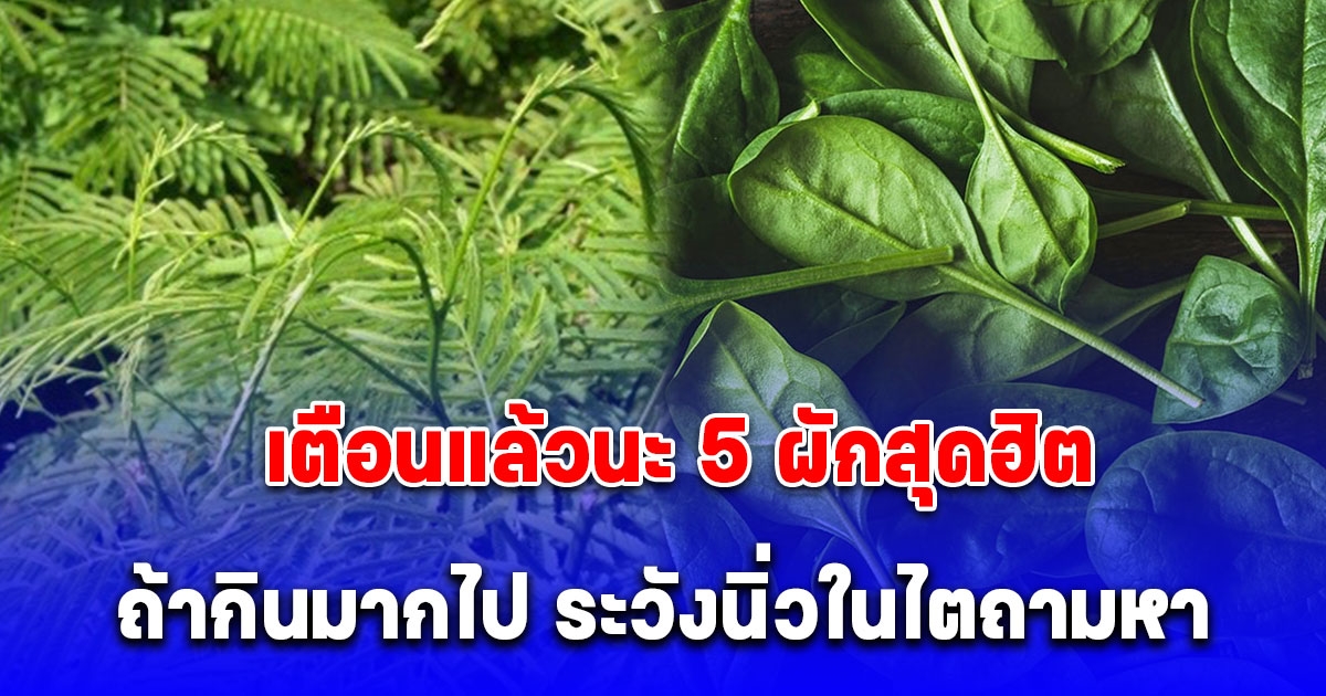 หมอเจดเตือน 5 ผักสุดฮิตที่ต้องระวัง กินมากไป ระวังนิ่วในไตถามหา