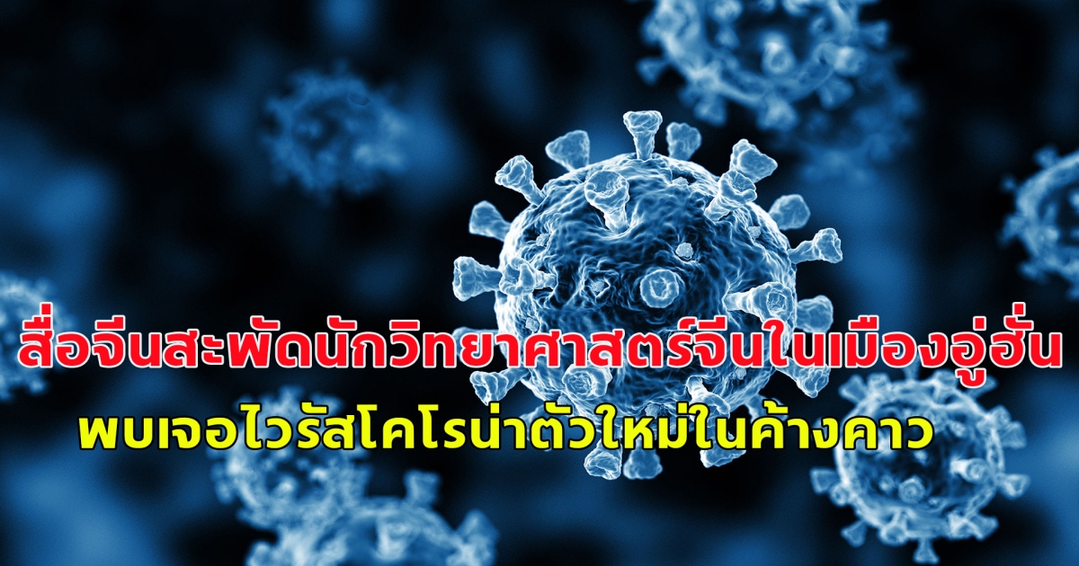 สื่อจีนสะพัดนักวิทยาศาสตร์จีนในเมืองอู่ฮั่น พบเจอไวรัสโคโรน่าตัวใหม่ในค้างคาว ติดจากสัตว์สู่คนได้เหมือนโรคโควิด-19