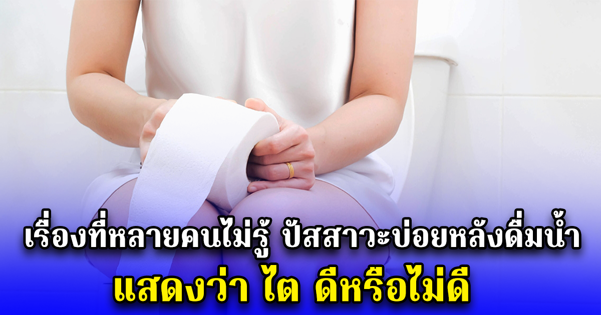 เรื่องที่หลายคนไม่รู้ ปัสสาวะบ่อยหลังดื่มน้ำ แสดงว่า ไต ดีหรือไม่ดี