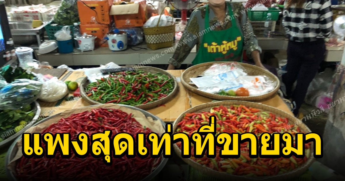 ราคาพริกพุ่งปรี๊ด