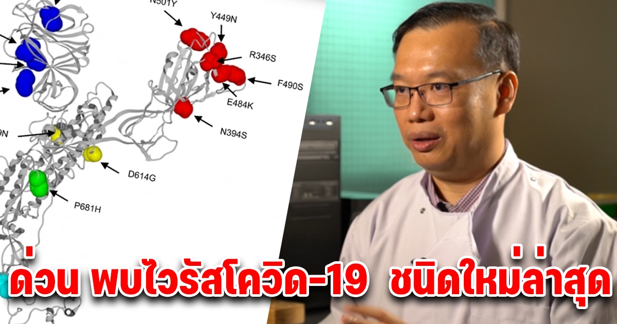 ด่วน พบโควิด-19 เชื้อกลายพันธุ์ ชนิดใหม่ล่าสุด