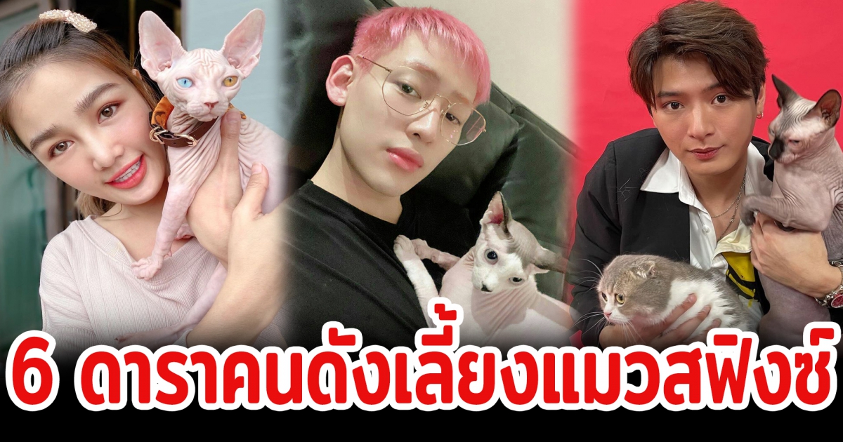 6 ดาราคนดังเลี้ยงแมวสฟิงซ์