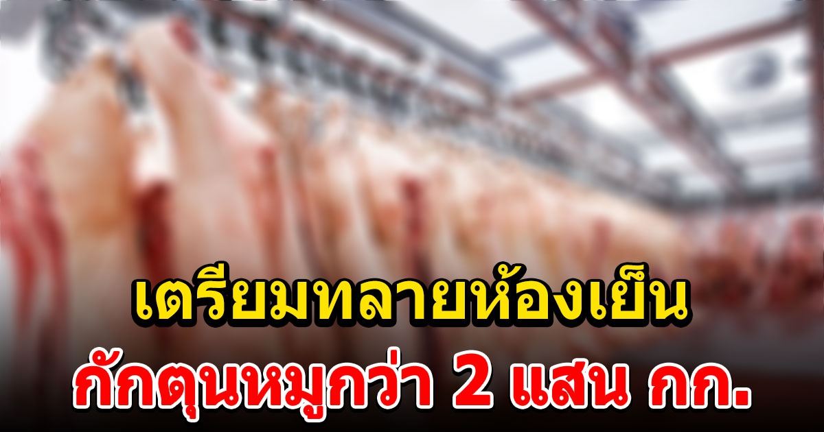 ด่วน เตรียมทลาย ห้องเย็นบริษัทใหญ่ กักตุนหมูกว่า 2 แสน กก.