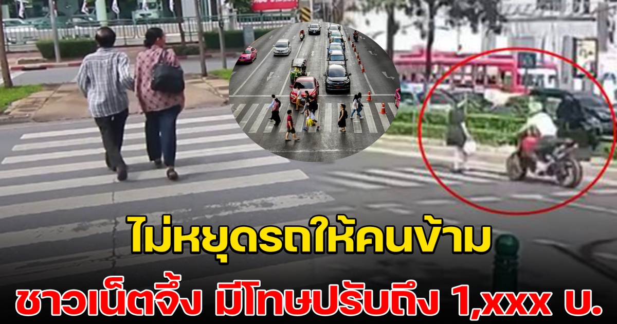 เปิดโทษค่าปรับ ไม่หยุดรถ ให้คนข้ามถนนบนทางม้าลาย สัญญาณไฟ