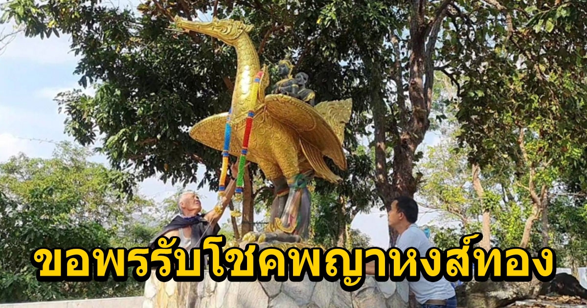 ขอพรรับโชคพญาหงส์ทองบนยอดดอยสูง