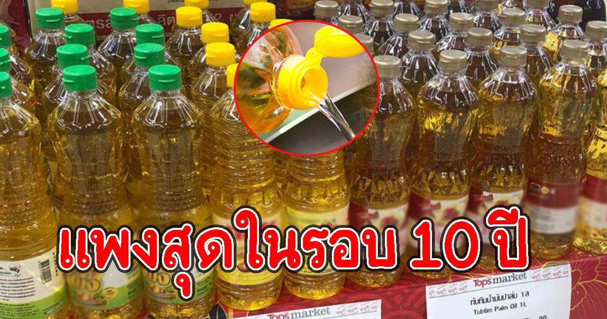 เปิดราคาน้ำมันปาล์มล่าสุด แพงสุดในรอบ 10 ปี