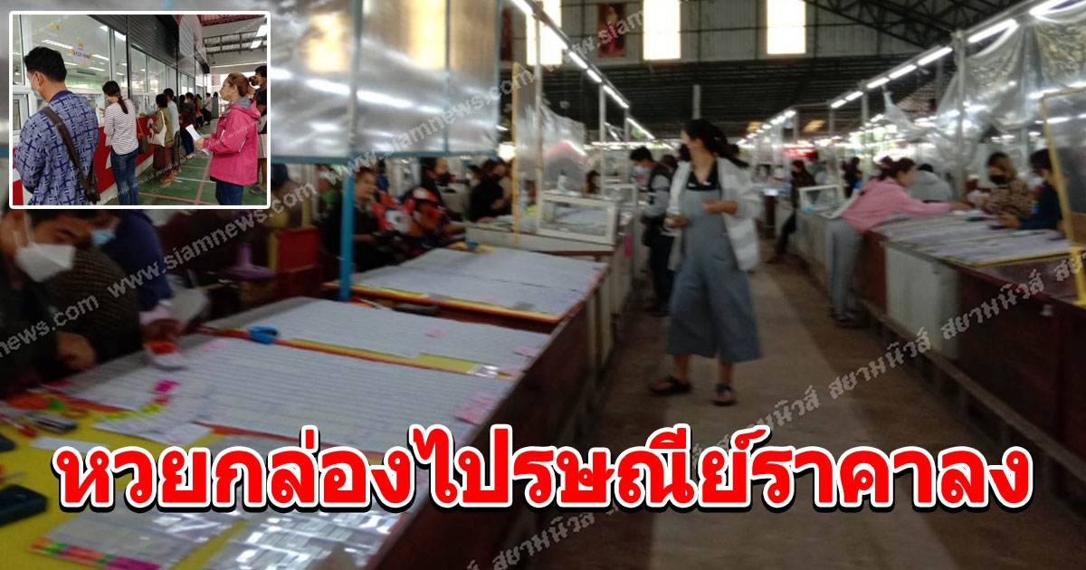 หวยกล่องไปรษณีย์ราคาลง ตลาดค้าส่งลอตเตอรี่ราคาลงตาม