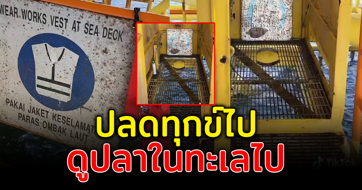 สาวพาทัวร์ ห้องน้ำ บนแท่นขุดเจาะกลางทะเล ปลกทุกข์ไปดูปลาในทะเลได้ด้วย