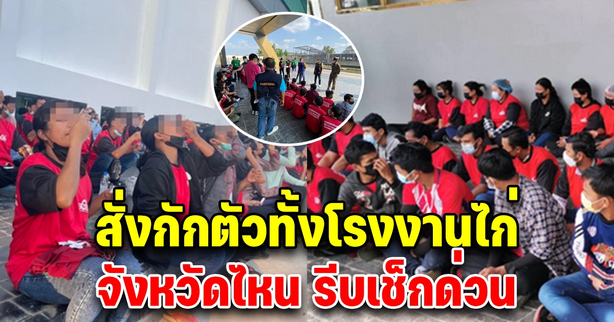 สั่งกักตัวทั้งโรงงาน คลัสเตอร์ใหม่โรงงานไก่ จังหวัดไหน รีบเช็กด่วน