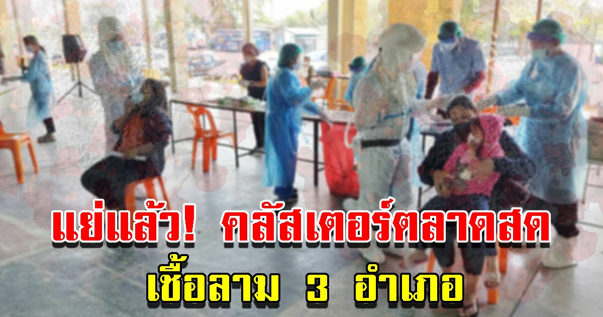 คลัสเตอร์ตลาด กระจาย 3 อำเภอ