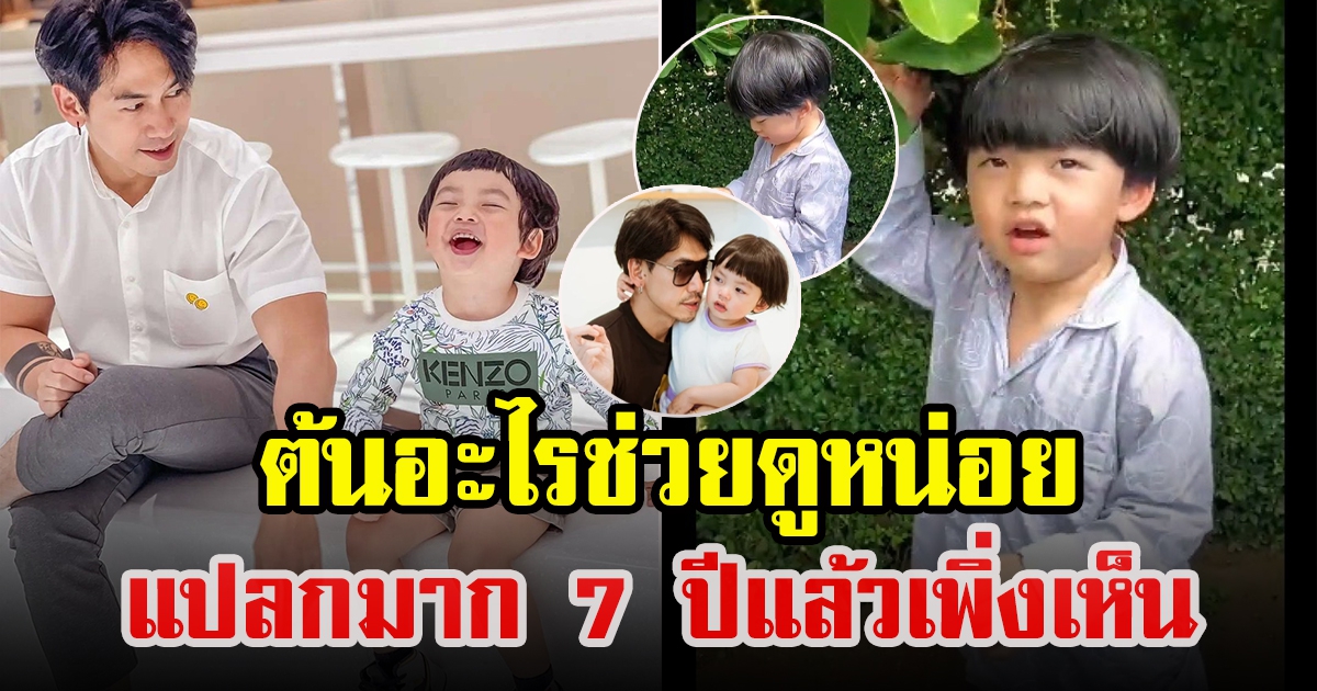 ดีเจเพชรจ้า สงสัยหนัก ปลูกต้นไม้ 7 ปี เพิ่งเคยเห็น