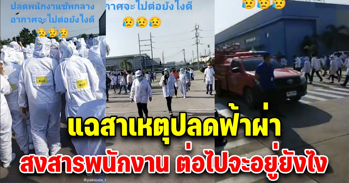 ปมปลดฟ้าผ่า 400 พนักงานโรงงานดังอมตะซิตี้