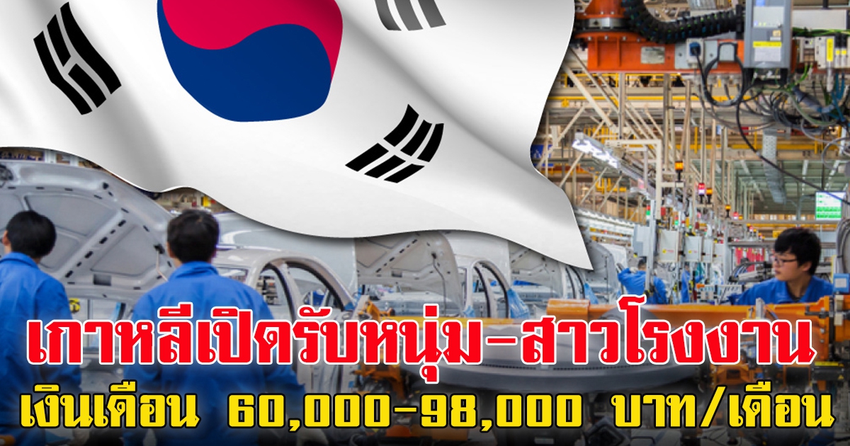 เกาหลีเปิดรับหนุ่ม-สาวโรงงาน 44,500 ตำแหน่ง เงินเดือน 60,000-98,000 ต่อเดือน