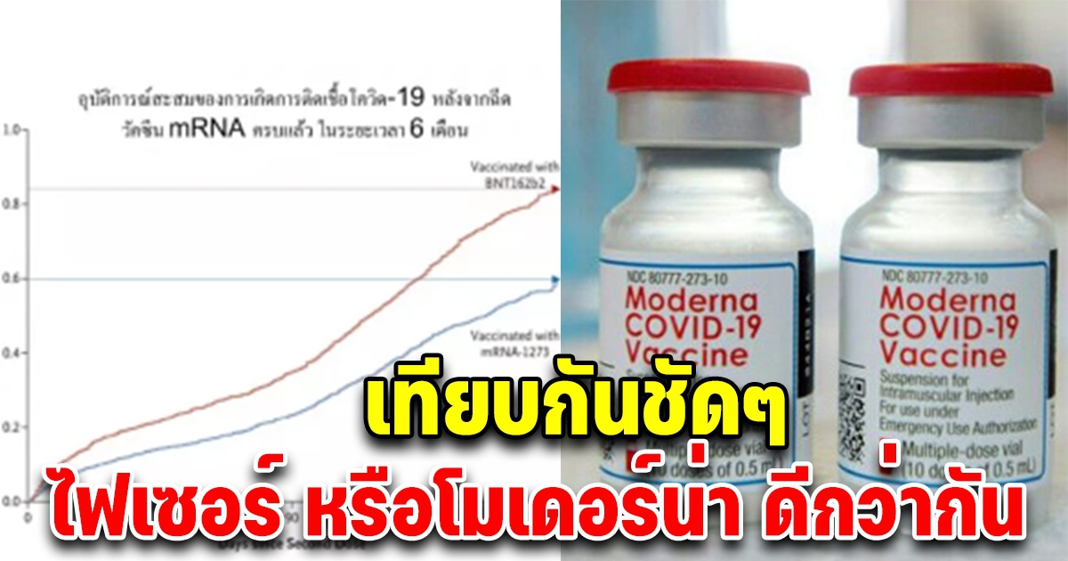 เทียบชัดประสิทธิภาพวัคซีน โมเดอร์นา และ ไฟเซอร์