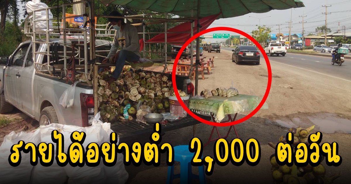 อย่ามองข้าม ปอกลูกตาลขายข้างทางทำเงินอย่างต่ำ 2,000 ต่อวัน