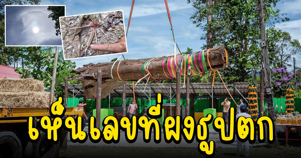 ชาวบ้านร่วมทำพิธีอัญเชิญแม่ตะเคียนขนาดใหญ่ อายุหลายร้อยปี พร้อมขอเลข