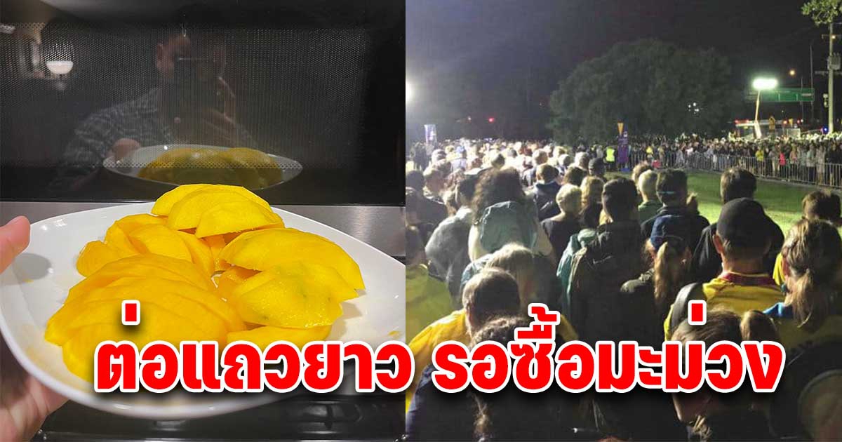 ข้าวเหนียวมะม่วงสุดปัง คนต่างชาติต่อแถวซื้อ