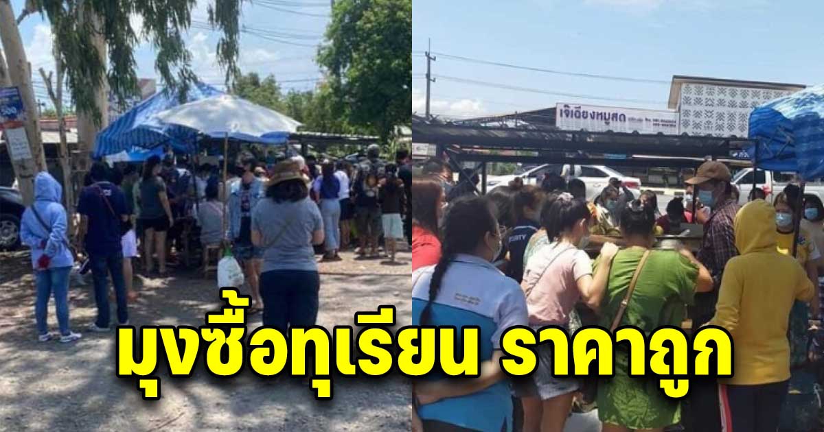 ชาวบ้านรุมซื้อทุเรียนราคาถูก