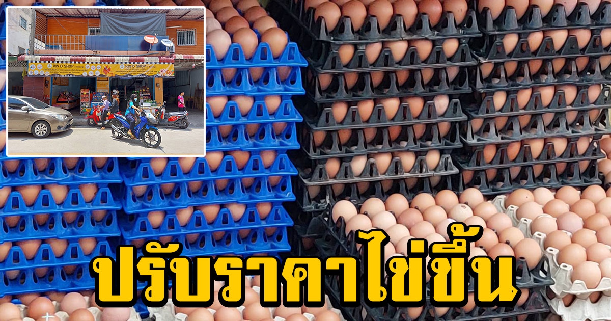 ไข่ไก่เบตงแพงดันราคาไข่พุ่งปรับขึ้นแผงละ 5 บาททุกไซซ์ ทุกเบอร์