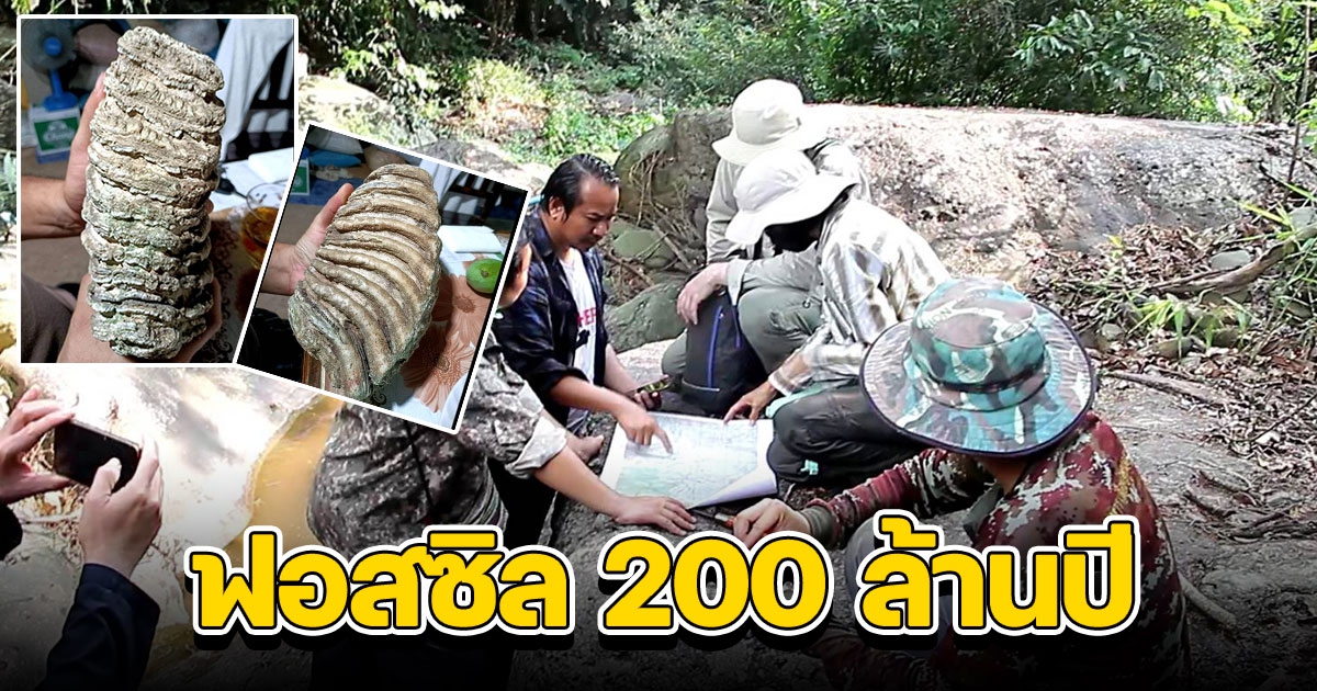 ชาวบ้านคะแนงพบฟอสซิลหอยสองฝาอายุกว่า 200 ล้านปี ต้นน้ำลาว