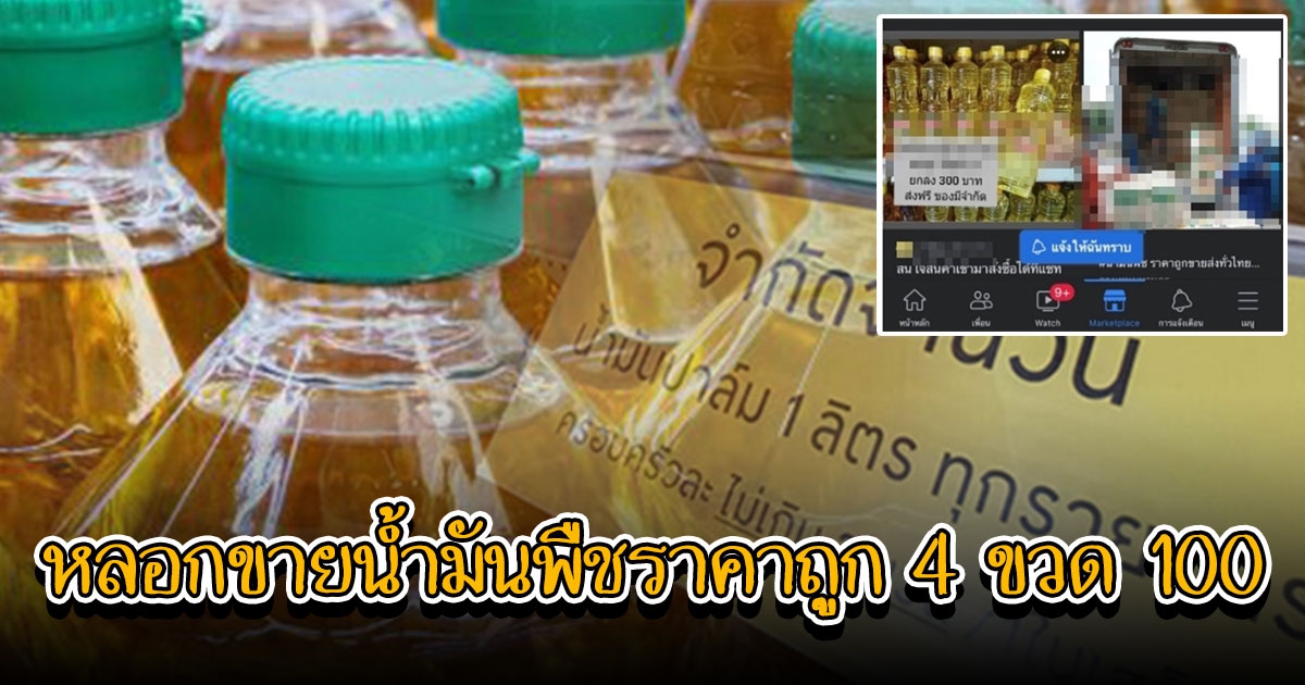 ราคาน้ำมันพืชพุ่ง เตือนภัย หลอกขายน้ำมันพืชราคาถูก 4 ขวด 100