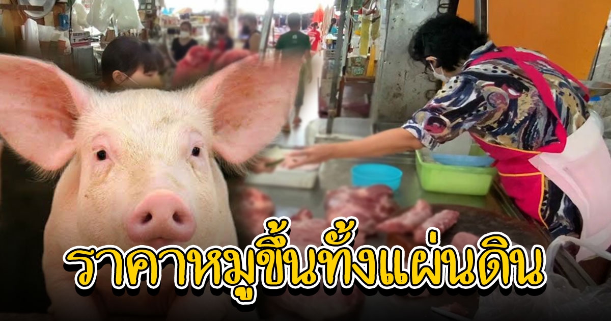 ปรับราคาหมูขึ้นทั้งแผ่นดิน